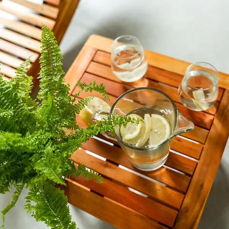 Invest Centrum Park 16 公寓 斯克拉斯卡波伦巴